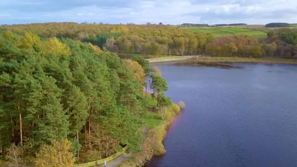 Part of a scenic reservoir surrounded by trees