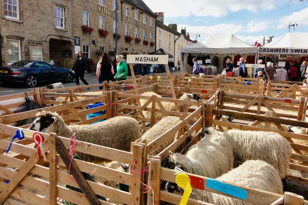 Sheep in pens in Masham town square
